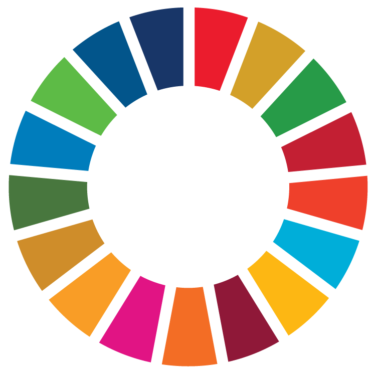 SDG goals wheel
