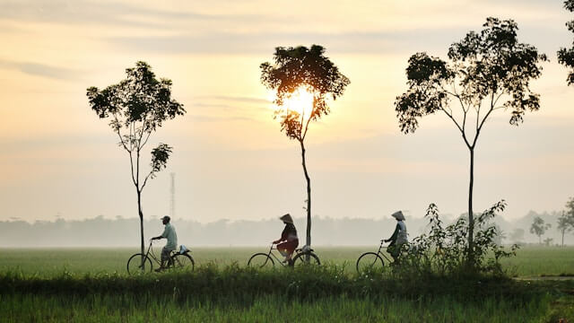 dikaseva-8o4W9LZv6eo-unsplash (2) (2) Rural Indonesia