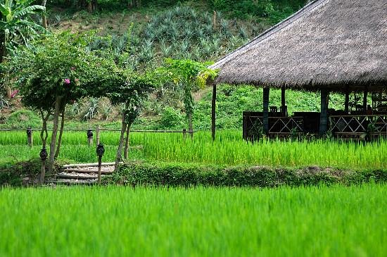 kamu lodge 1